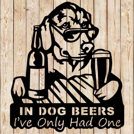 dog 4