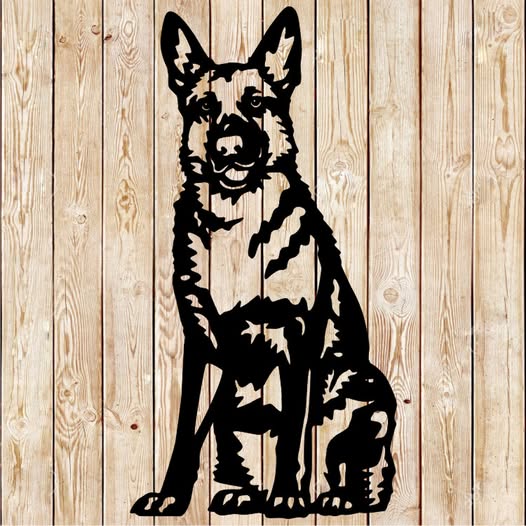 German shepherd