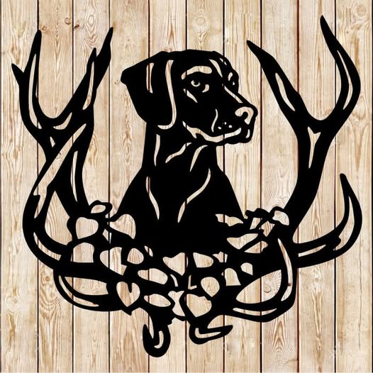 Dog 1